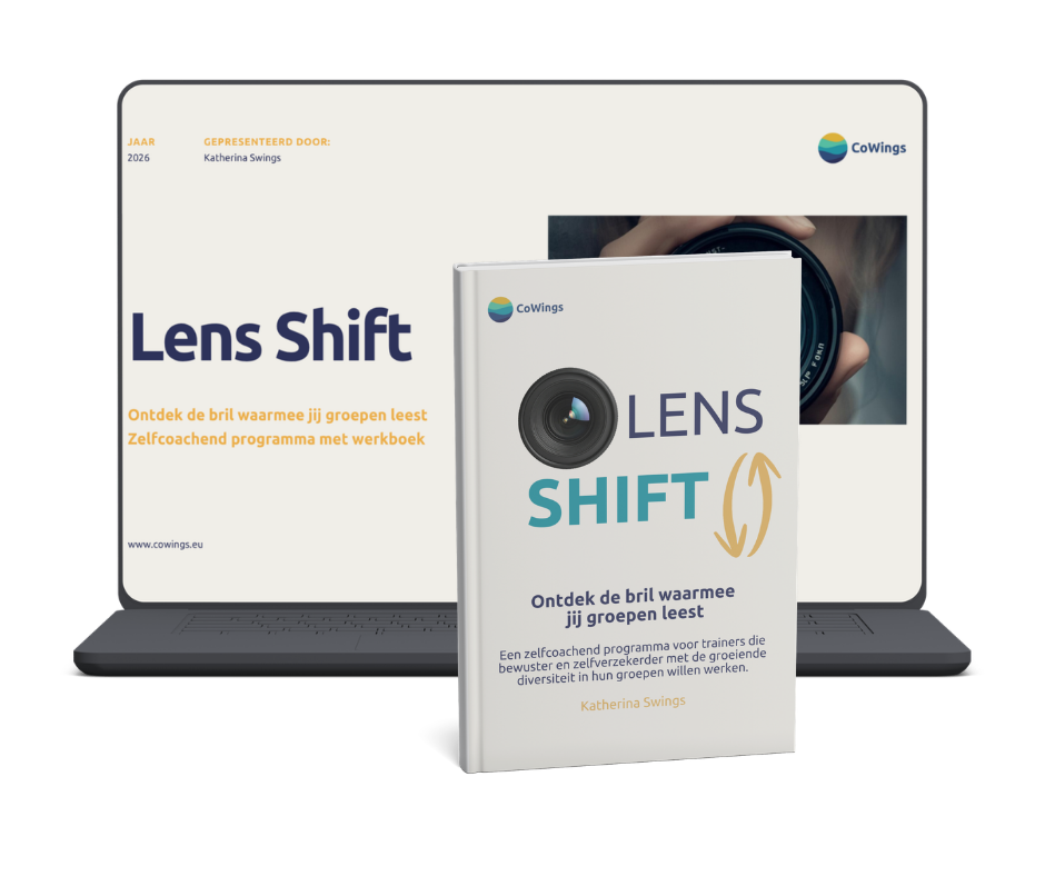 Lens Shift